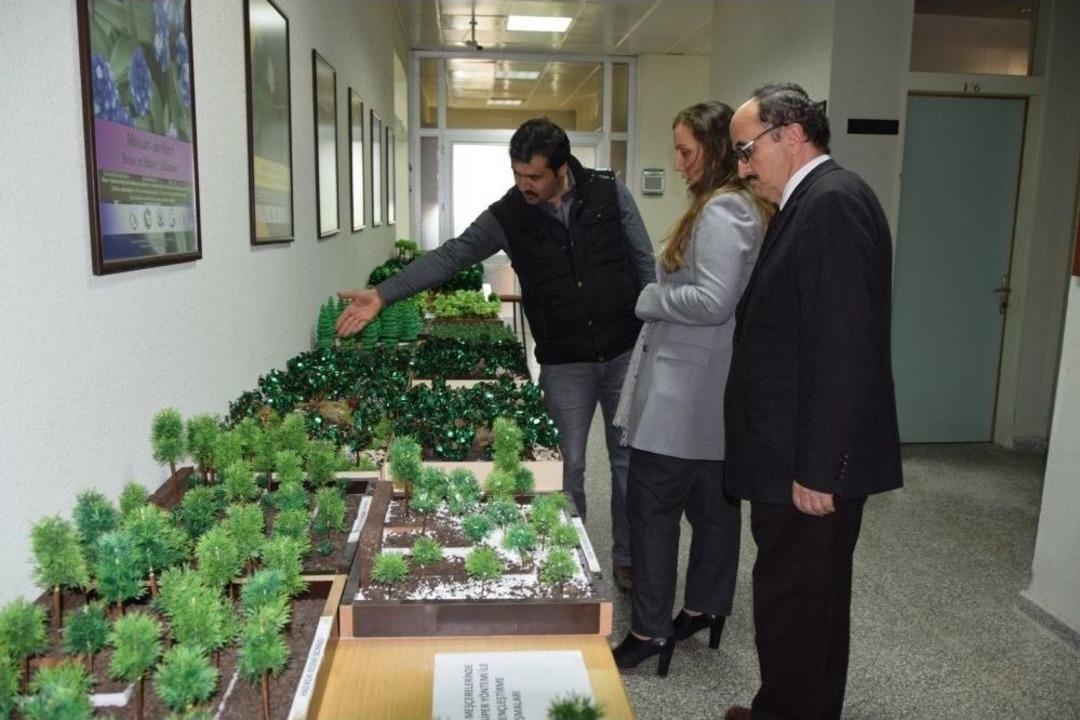 D&uuml;zce &Uuml;niversitesinde Doğa Ve Bilim Sergisi