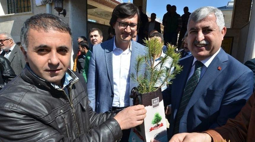 Yeşilyurt Belediyesi 17 Bin Adet Fidan Dağıttı