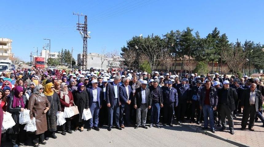Kilis Belediyesi &ldquo;evet&rdquo; &Ccedil;alışmalarına Devam Ediyor