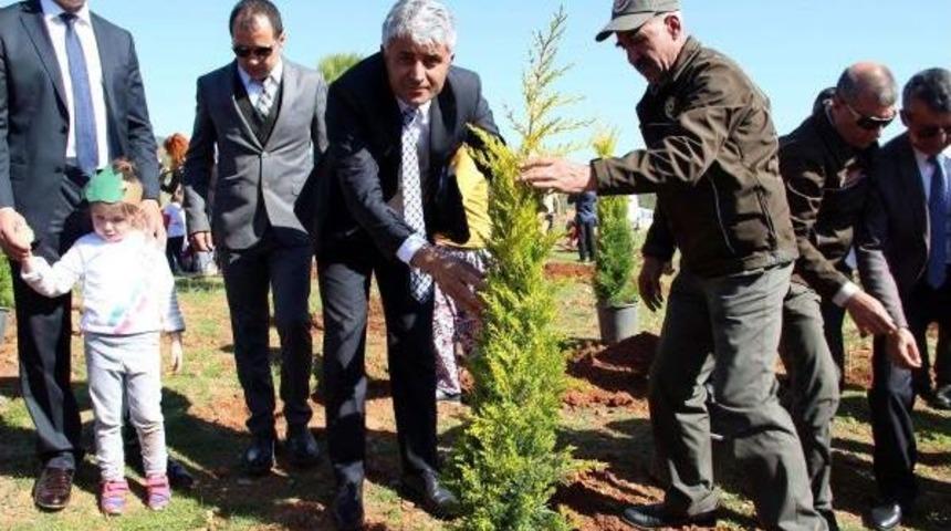 Fethiye'de 15 Temmuz Şehitleri I&ccedil;in Hatıra Ormanı