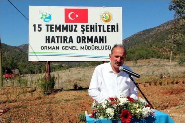 Fethiye'de 15 Temmuz Şehitleri Için Hatıra Ormanı