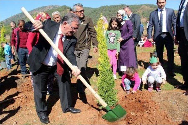 Fethiye'de 15 Temmuz Şehitleri Için Hatıra Ormanı