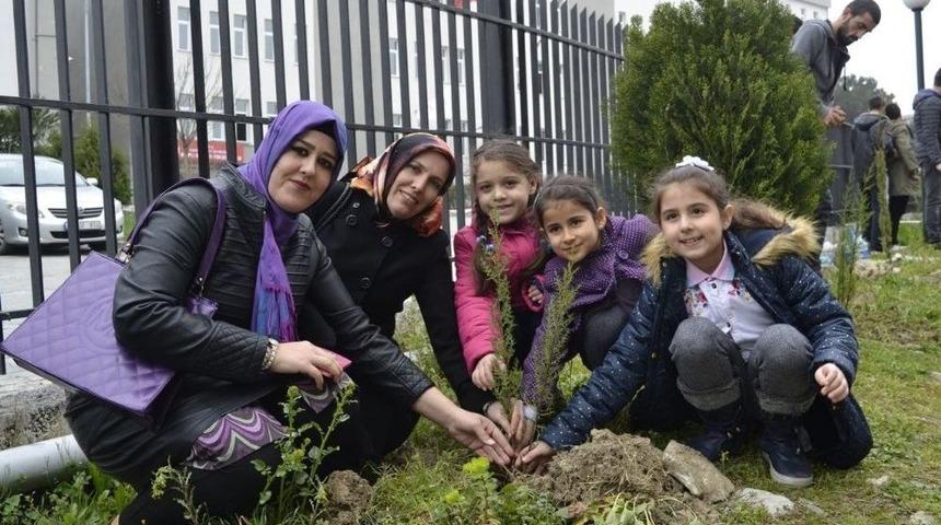 &Ouml;ğrenciler Fidan Dikti