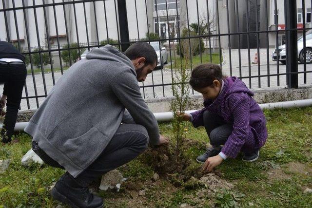 Öğrenciler Fidan Dikti