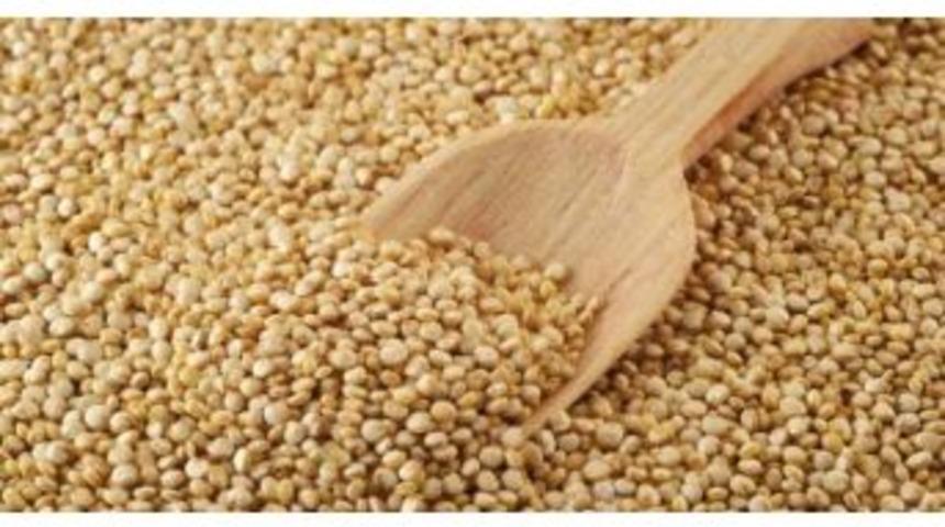 2017&rsquo;nin İlk Kinoa Ekimi Yarın Başlıyor