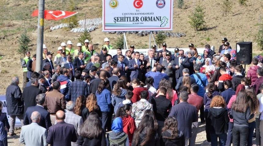 &Ccedil;aycuma&rsquo;da 15 Temmuz Demokrasi Şehitleri Hatıra Ormanı Oluşturuldu
