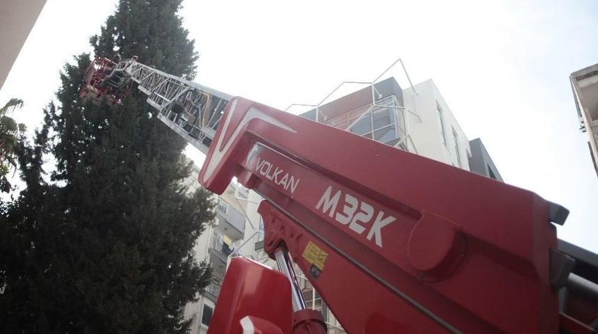 İtfaiye İle Kedinin Ağa&ccedil;ta K&ouml;şe Kapmaca Oyunu