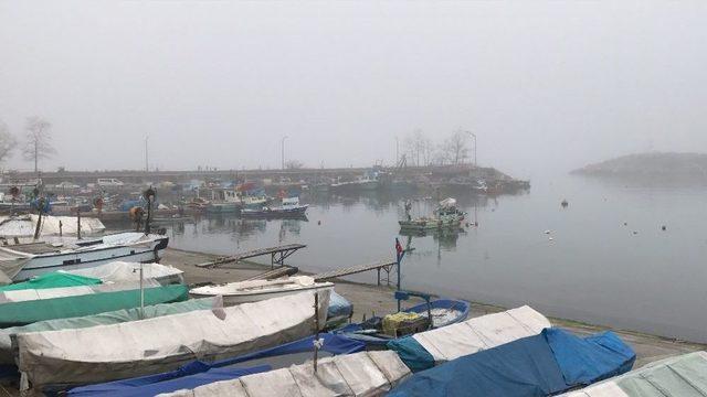 Batı Karadeniz’de Yoğun Sis