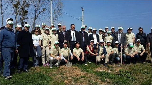 Akçakoca’da Orman Haftasında Çok Sayıda Fidan Dikildi