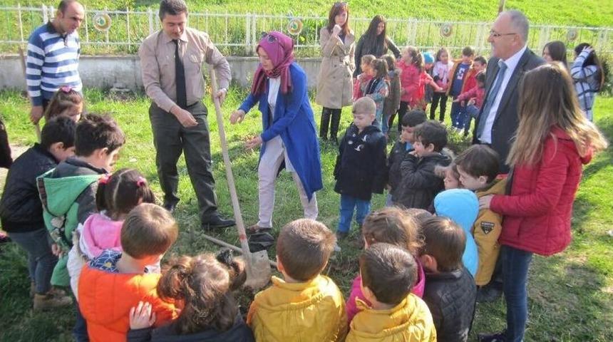 Minik Eller Fidan Dikti