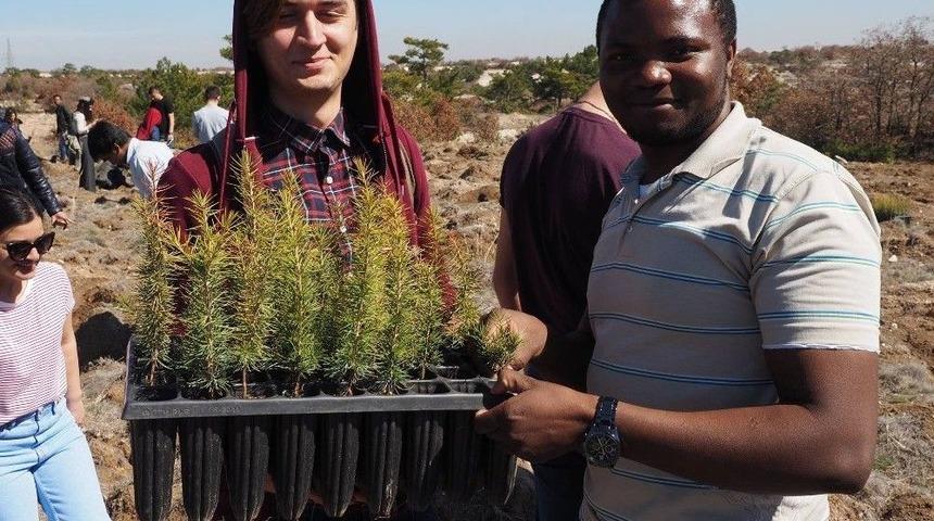 Esog&uuml; T&ouml;mer&rsquo;de T&uuml;rk&ccedil;e &Ouml;ğrenen &Ouml;ğrenciler 500 Fidanı Toprakla Buluşturdu