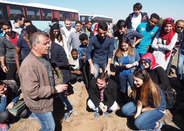 Esogü Tömer’de Türkçe Öğrenen Öğrenciler 500 Fidanı Toprakla Buluşturdu