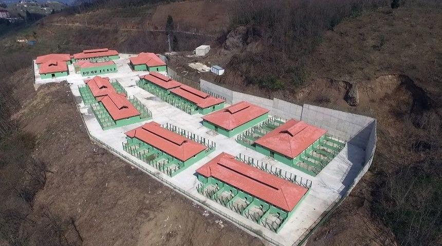 T&uuml;rkiye&rsquo;nin En B&uuml;y&uuml;k Doğal Yaşam Alanı Ve Sokak Hayvanları Bakım Merkezi&rsquo;nin Yapımı B&uuml;y&uuml;k &Ouml;l&ccedil;&uuml;de Tamamlandı