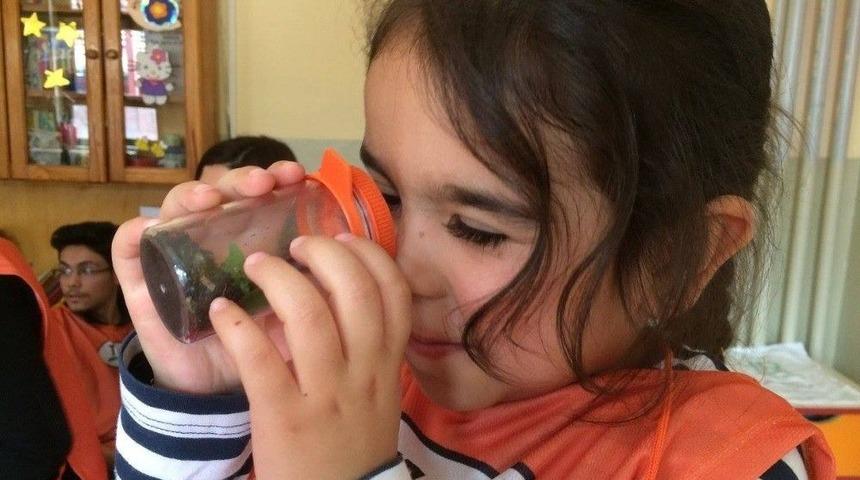 Mercekli Kaplarla Doğayı İncelediler