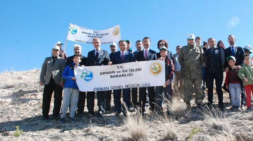 G&uuml;r&uuml;n&rsquo;de Fidanlar Toprakla Buluştu