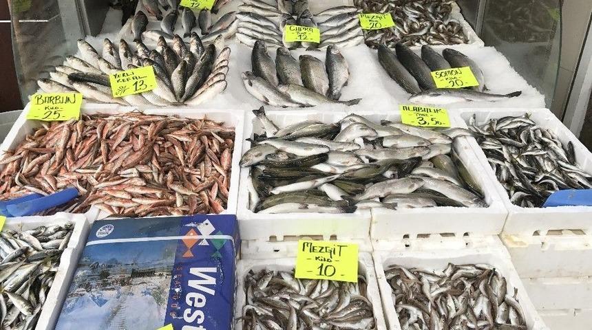 Mevsimin Yenecek Balığı Barbun