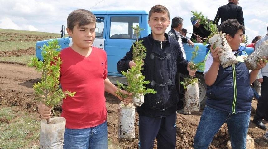 Sorgun&rsquo;da Bin 500 Fidan Toprakla Buluştu