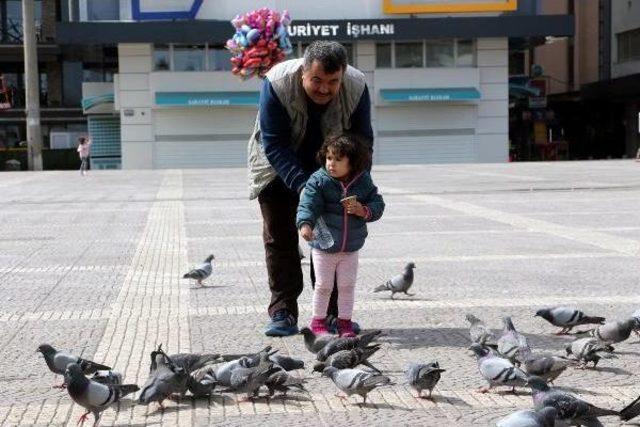 Güvercinleri Minikler Besledi