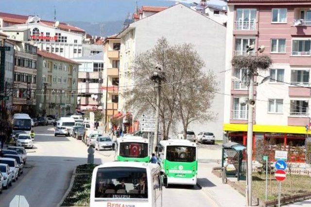 Bolu'da Leylekler Yuvalarına Döndü