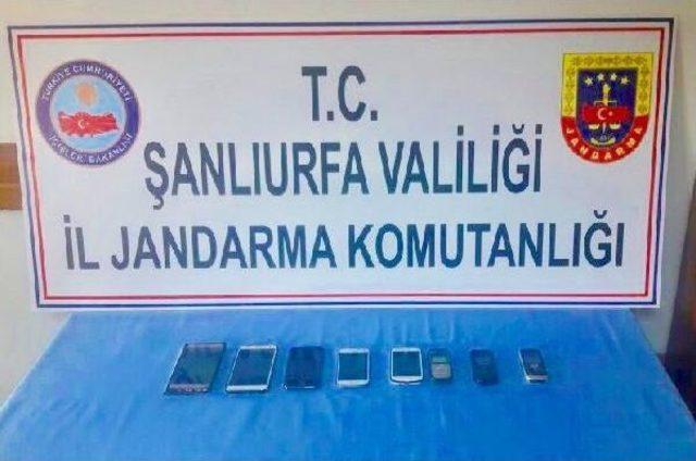 Şanlıurfa'da Telefon Dolandırıcılığına 4 Tutuklama