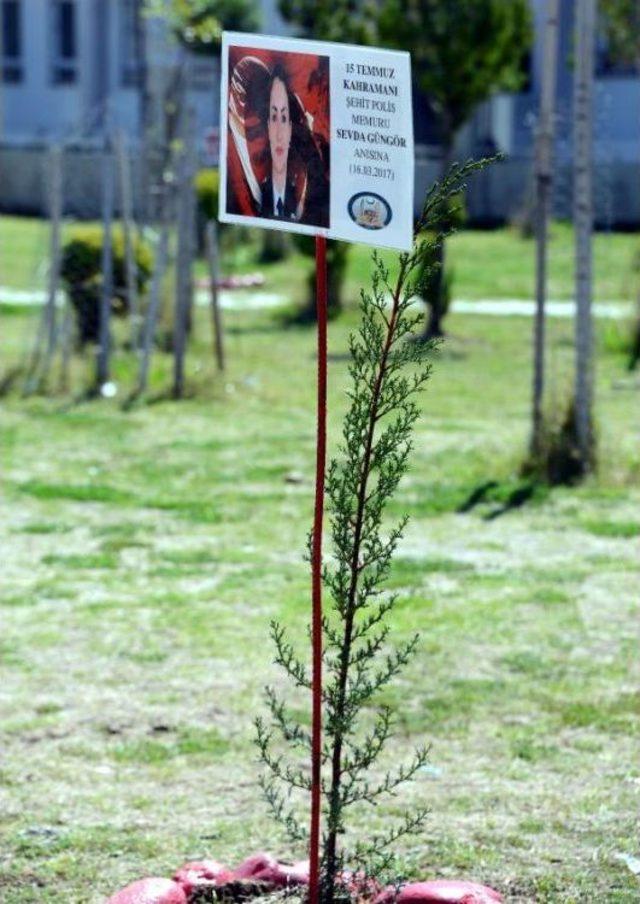 Okul Bahçesinde Silahlı Kavga: 3 Yaralı