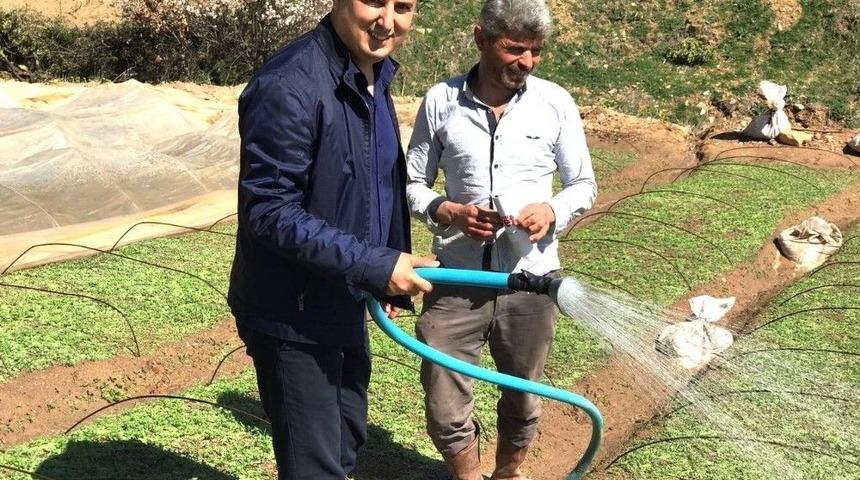 Sarıg&ouml;l Ak Parti&rsquo;de Referandum &Ccedil;alışması