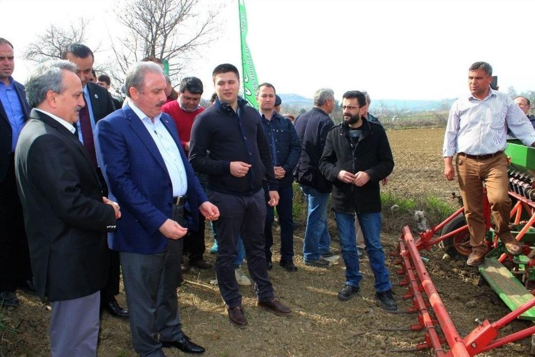 Sezonun İlk Kinoa Ekimi Tekirdağ&rsquo;da Ger&ccedil;ekleştirildi