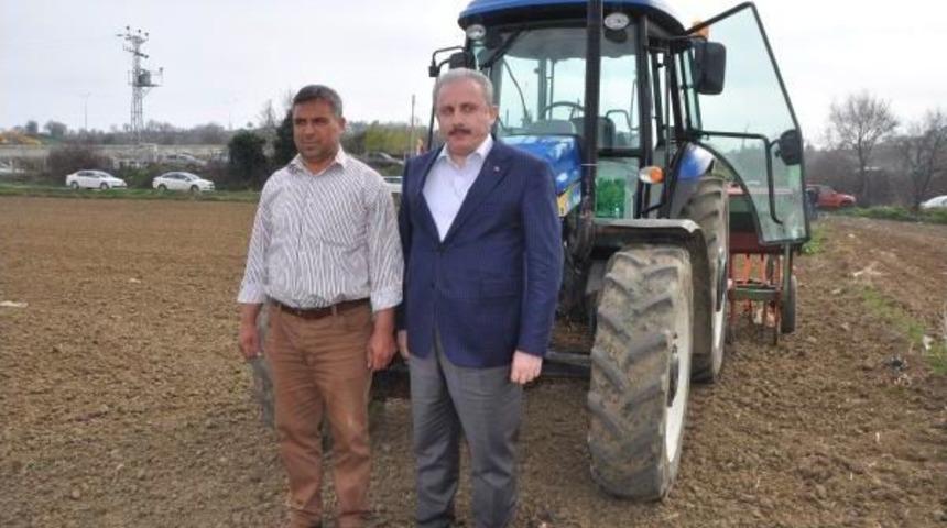 Yılın Ilk 'kinoa' Ekimini Ak Partili Şentop Yaptı