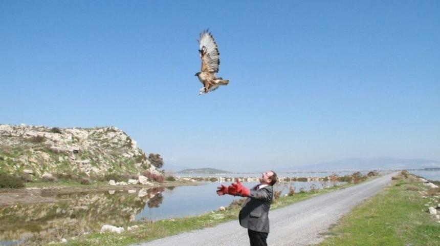 Davetsiz Misafirler Doğaya D&ouml;nd&uuml;