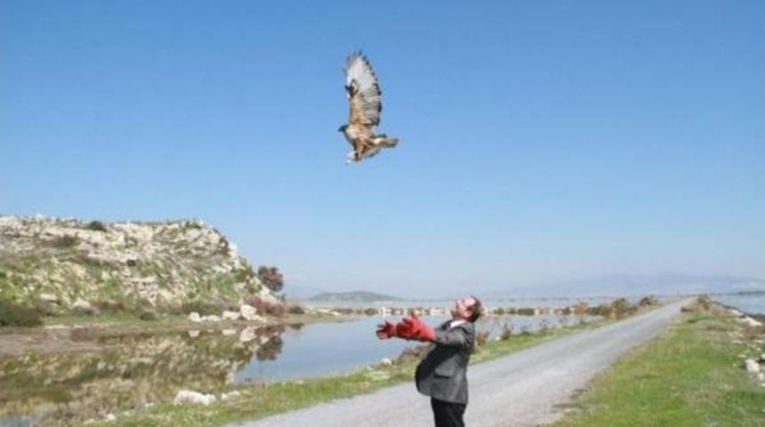 Davetsiz Misafirler Yeniden Doğaya D&ouml;nd&uuml;