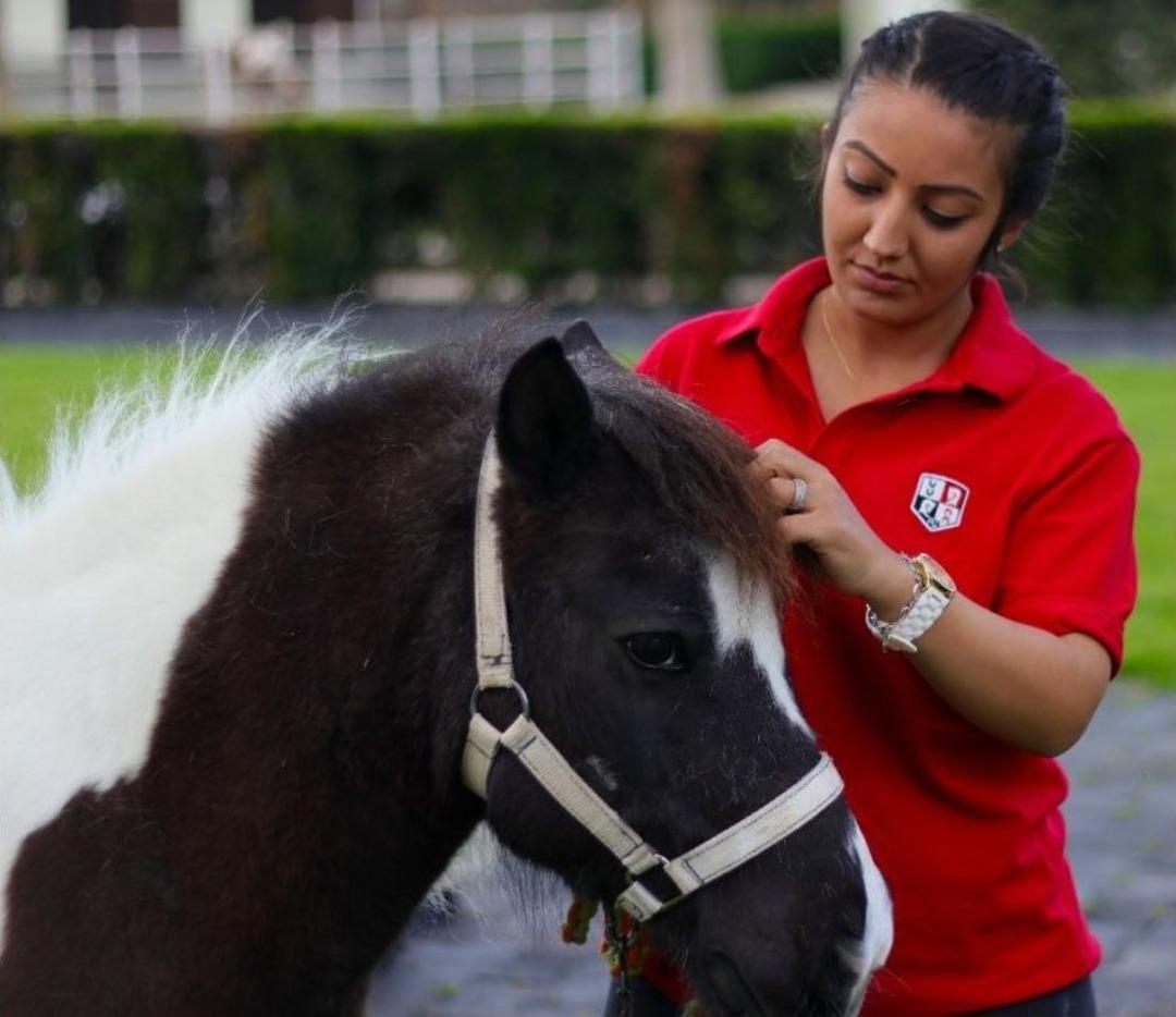 Atanamayan Anaokulu &Ouml;ğretmeni Seyis Oldu