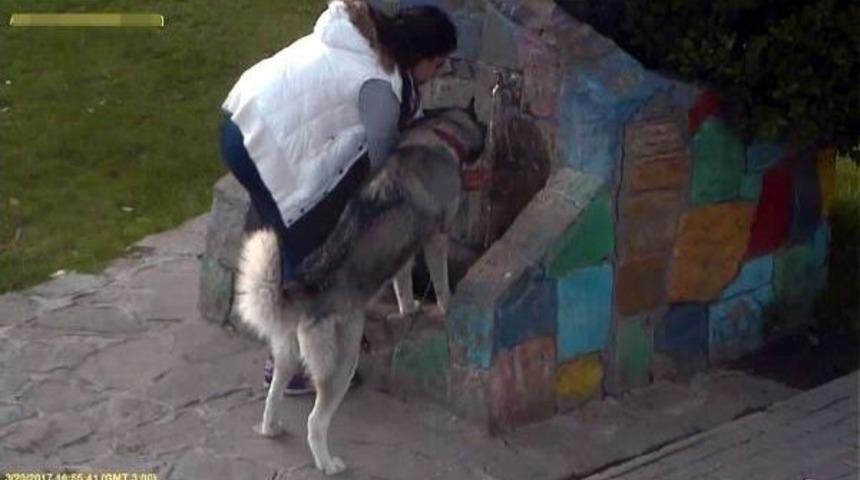 K&ouml;peğine Avucunda Su I&ccedil;irdi