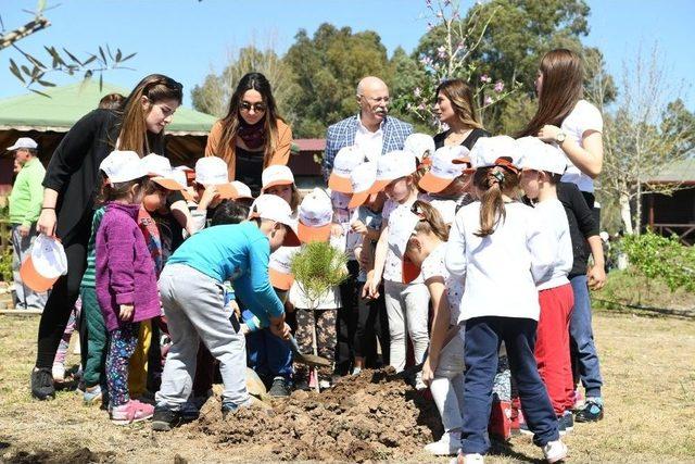 Başkan Böcek, Kreş Öğrencileriyle Ağaç Dikti