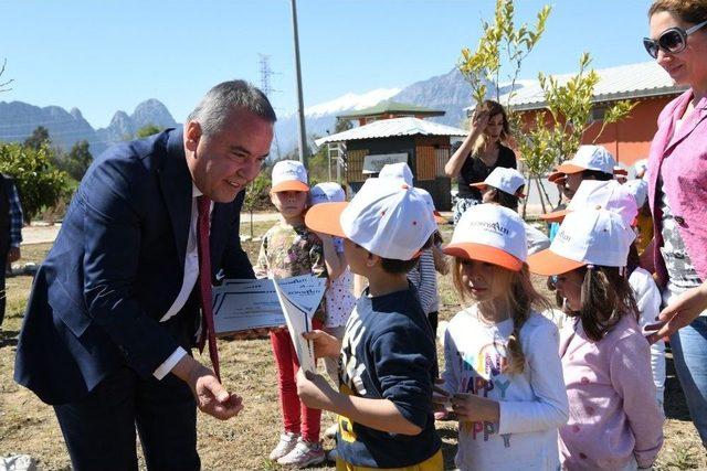 Başkan Böcek, Kreş Öğrencileriyle Ağaç Dikti