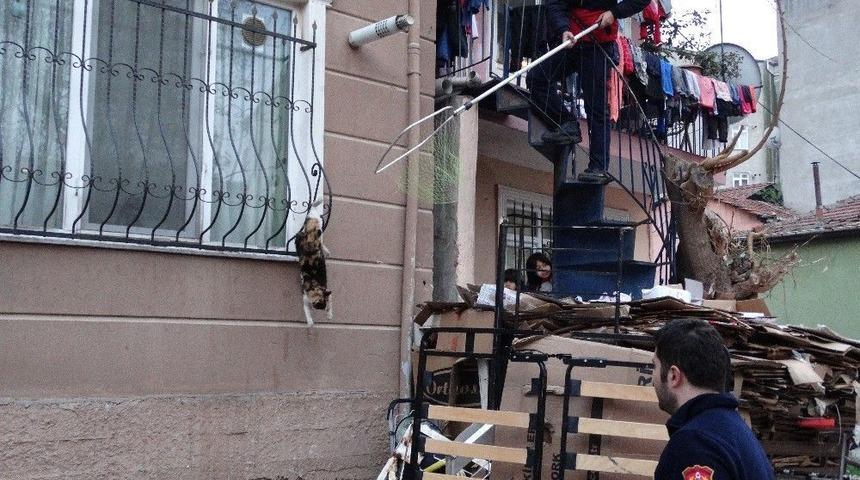 (&ouml;zel Haber) Parmaklıklara Sıkışan Kediyi Kurtarmak İ&ccedil;in Operasyon Yapıldı