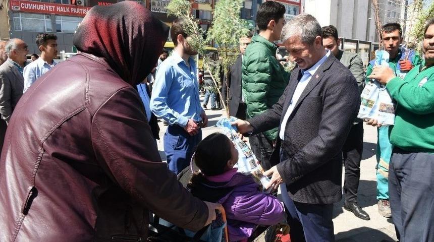 Başkan Mehmet Tahmazoğlu Fidan Dağıttı