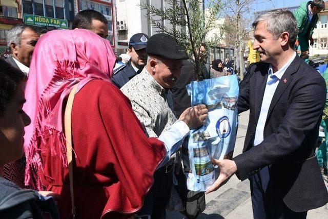Başkan Mehmet Tahmazoğlu Fidan Dağıttı