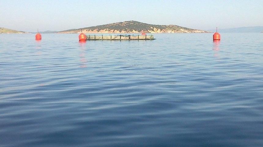 Danıştay, Balık &Ccedil;iftliğinin &Ccedil;ed İptal Kararını Usulden Bozdu