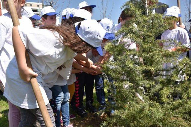 Başkan Çerçi Minik Bahçıvanlarla Fidan Dikti