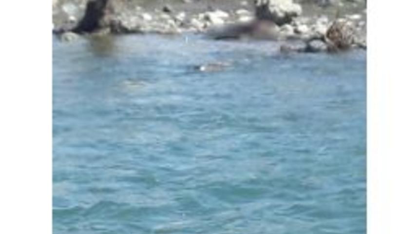 Kayıp Olan Ka&ccedil;ak Şahsın Cesedi Kıyıya Vurdu