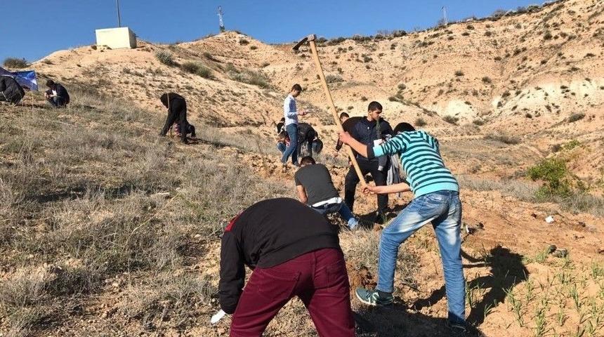 Agd&rsquo;den Ağa&ccedil; Dikimi