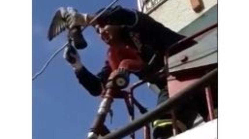 Ayağı Elektrik Teline Sıkışan G&uuml;vercin Kurtarıldı