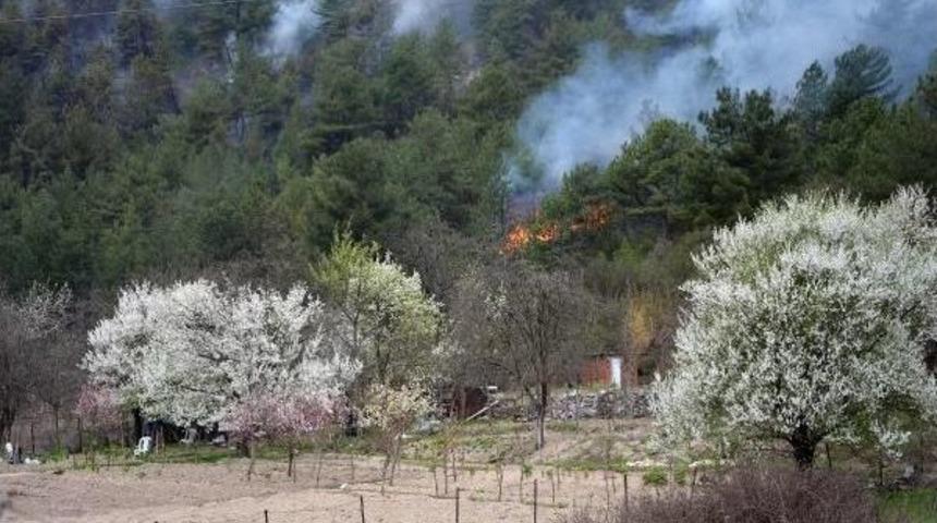 Karab&uuml;k'te 3 D&ouml;n&uuml;ml&uuml;k Kızıl&ccedil;am Ormanı Yandı