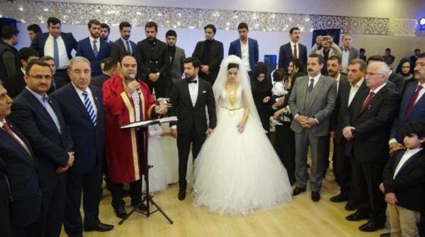 Halay &Ccedil;eken Bakan &Ccedil;elik'e Dolar Atma Yarışı