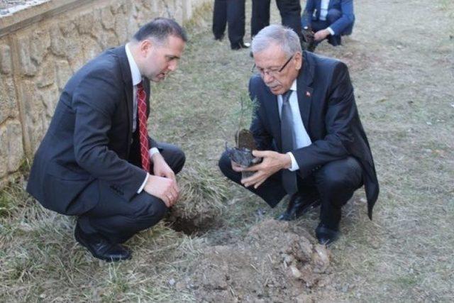 Sungurlu’da Orman Haftası Etkinlikleri