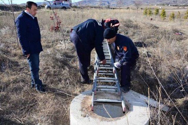 Düştüğü Rögardan Kurtarılan Yavru Köpek, Bakıma Alındı