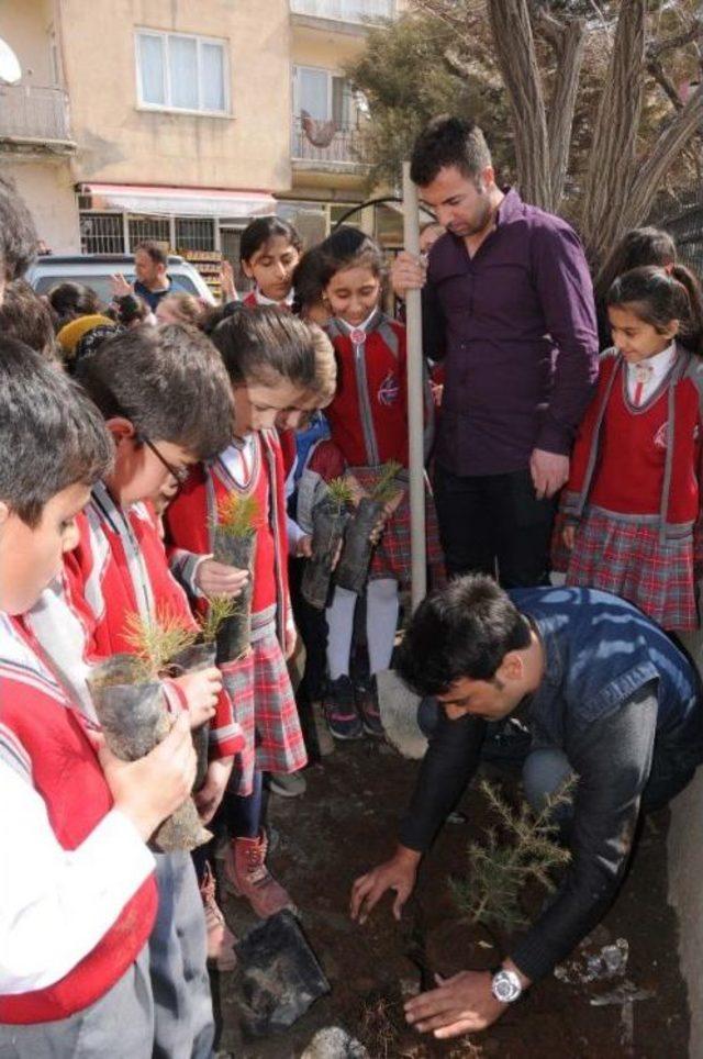 Hakkari'de Okullara 6 Bin Fidan Dağıtılacak