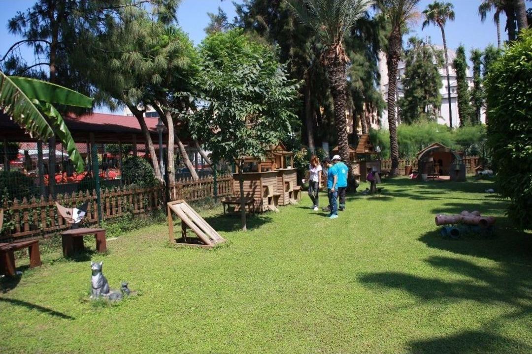 Alanya Belediyesi&rsquo;nden Sahipsiz Hayvanlara Hizmet