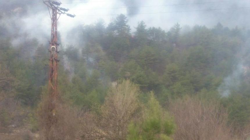 Karab&uuml;k&rsquo;te Orman Yangını