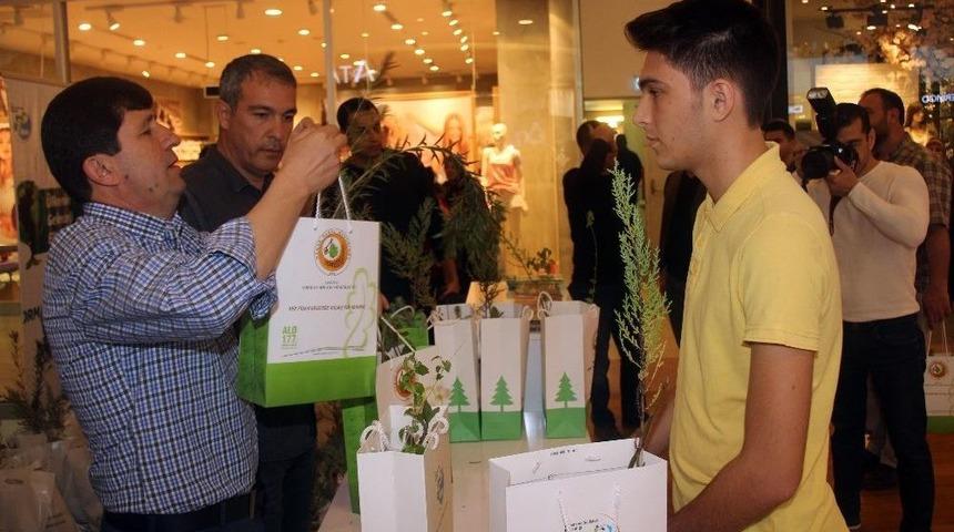 Avm Ziyaret&ccedil;ilerine &Uuml;cretsiz Fidan Dağıtıldı